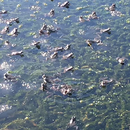 Cedar Boathouse Overlookng Baltimore, West Cork & Islands *