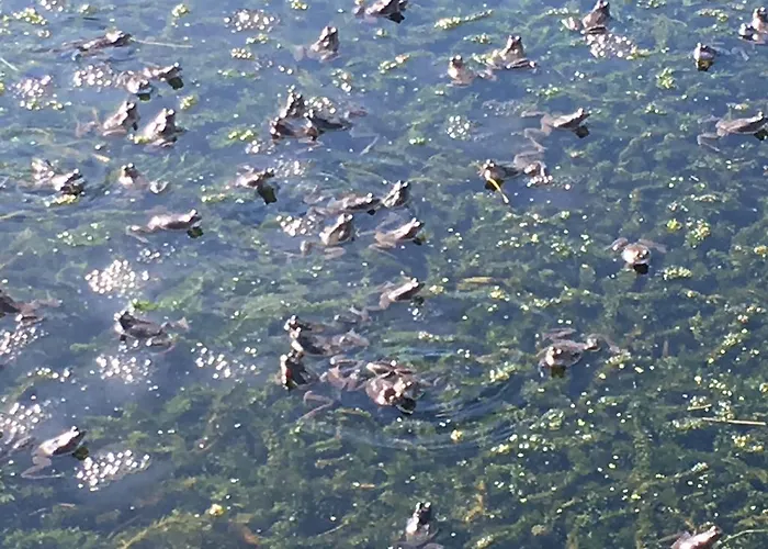 Cedar Boathouse Overlookng Baltimore, West Cork & Islands *