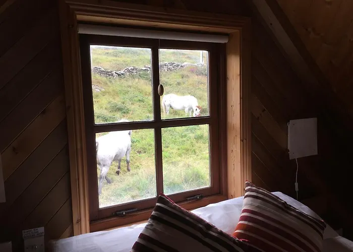 Cedar Boathouse Overlookng Baltimore, West Cork & Islands *